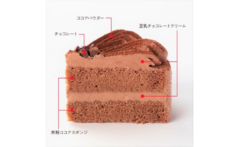 チョコレートケーキ 5号 直径約15cm アレルギー対応 特定原材料不使用 すこやかチョコレートケーキ ケーキ チョコケーキ ホール 米粉ケーキ お菓子 菓子 洋菓子 デザート スイーツ 記念日 新潟 新潟県 十日町市 十日町すこやかファクトリー