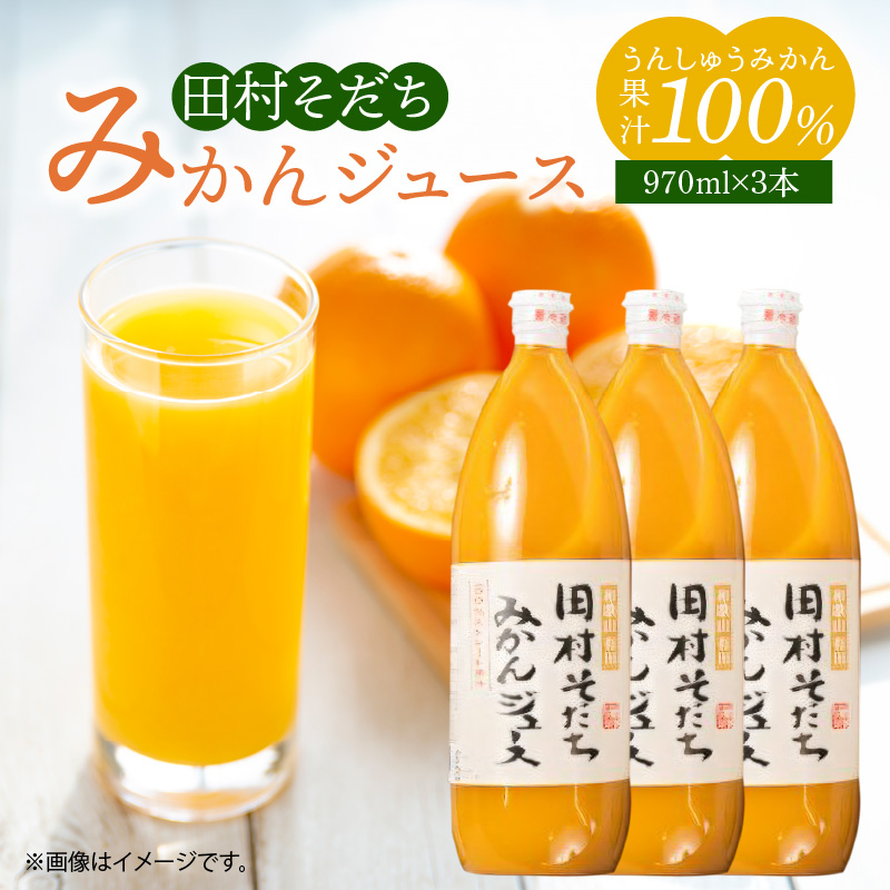 G7029_Y_【直営限定】果汁100％田村そだちみかんジュース 970ml×3本