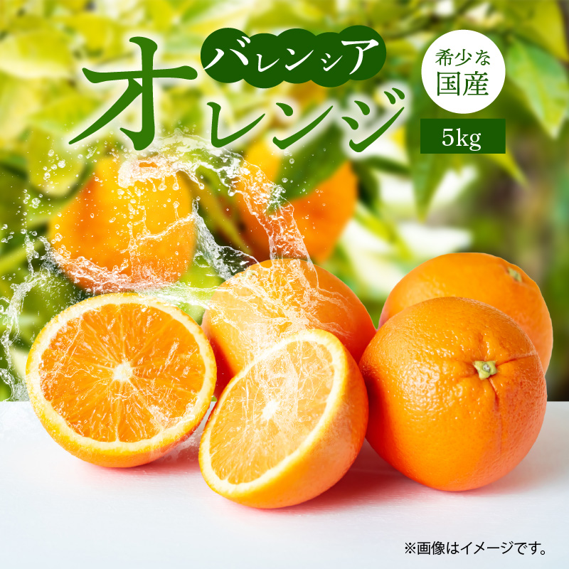 DO6009n_紀の国みかん 極みたまご TKGセット | 和歌山県湯浅町ふるさと