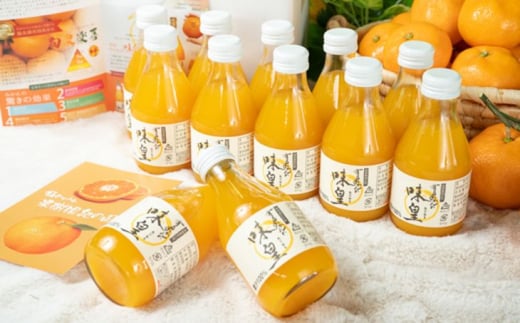 AM6004_Y_【直営限定】山田みかん10kg（2Lサイズ）【11月より発送