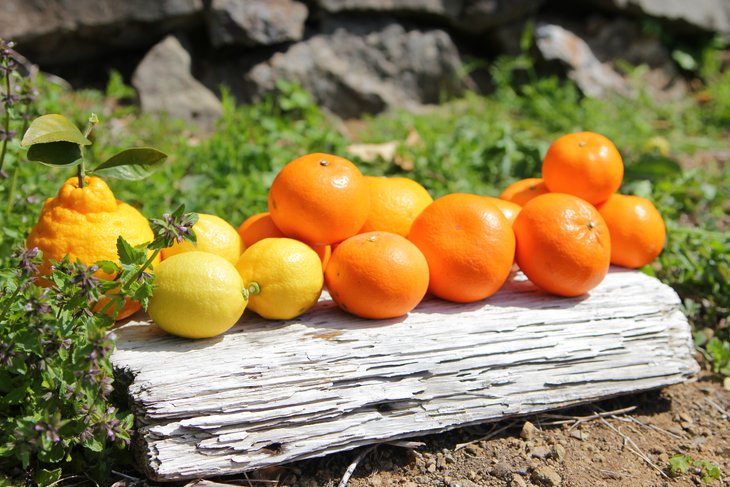 ZF6026n_ちょっと 傷あり 極早生 みかん 有田 M～SSサイズ 約2kg × 2箱