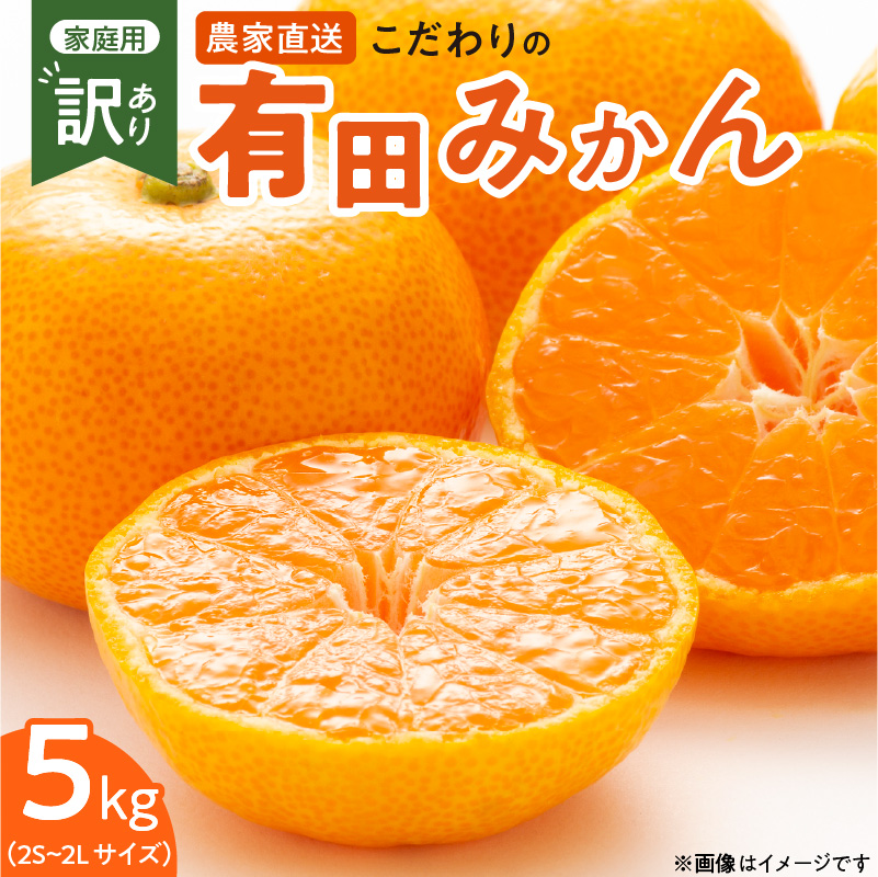 大人気！有田から直送　味の濃い！！♡石地みかん♡ 5キロx2 AX6049n_Y_【直営限定】【平武農園より農家直送！】有田みかん