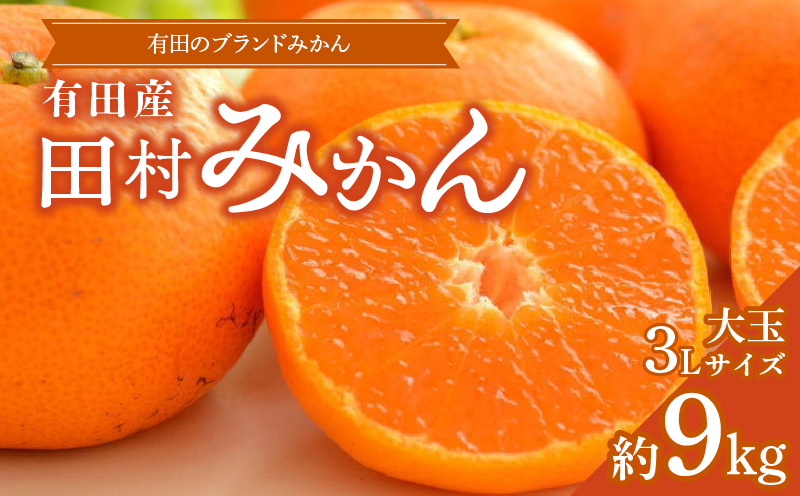 ZD6321n_Y_【直営限定】【2026年先行予約】【食べごたえ十分・秀品