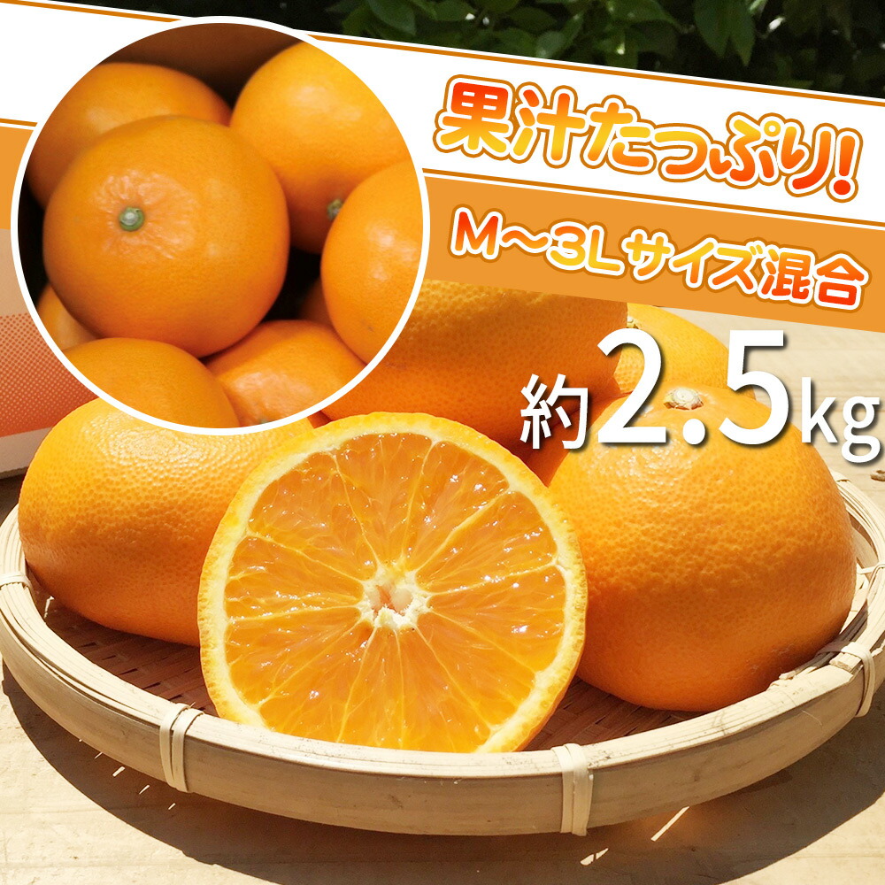 BL6161n_Y_【直営限定】（産地直送）和歌山県産 せとか 2.5kg(M