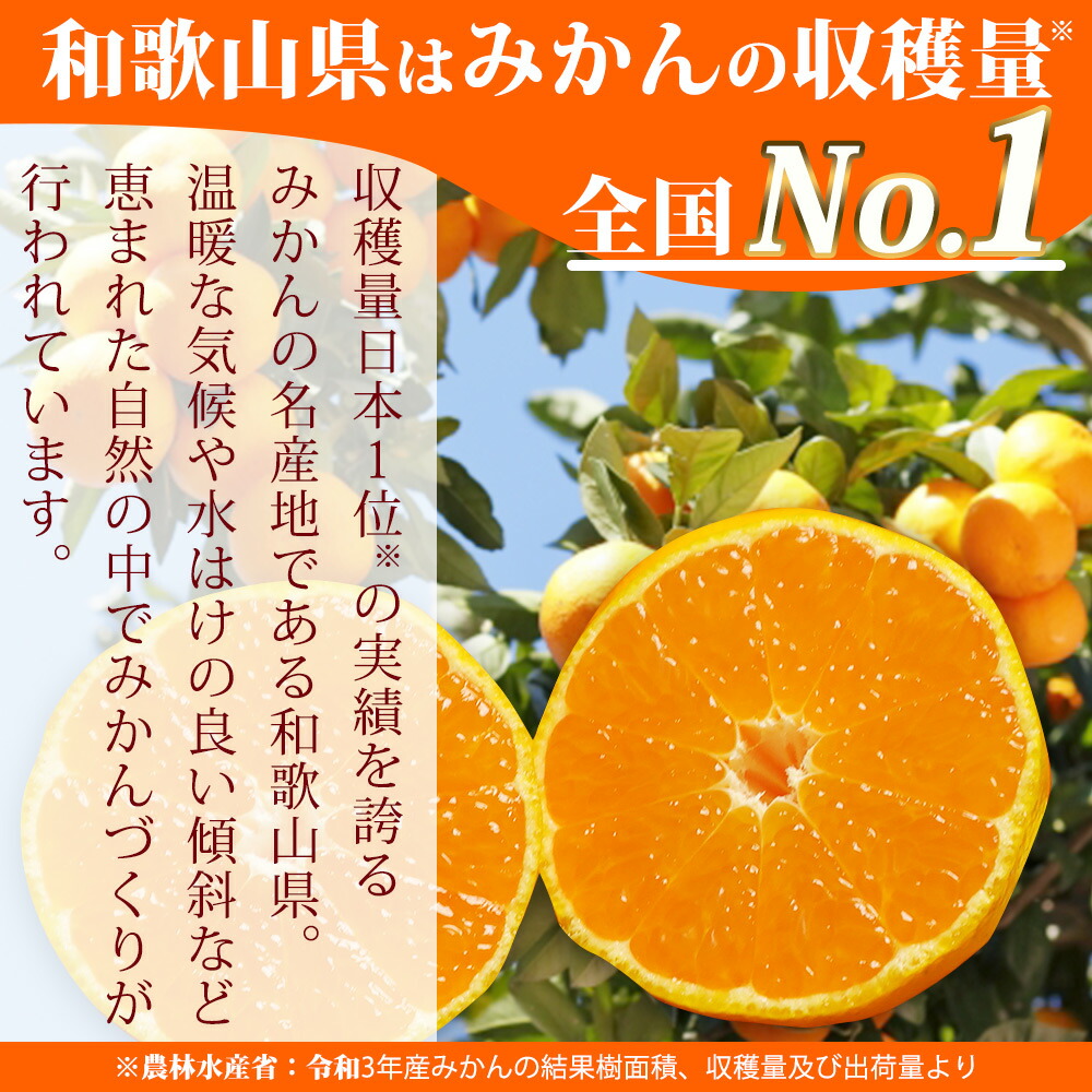 和歌山県産せとか秀品Lサイズ プレミアム みかん せとか 秀約3kg 化粧箱】(L～3L 約10～15玉
