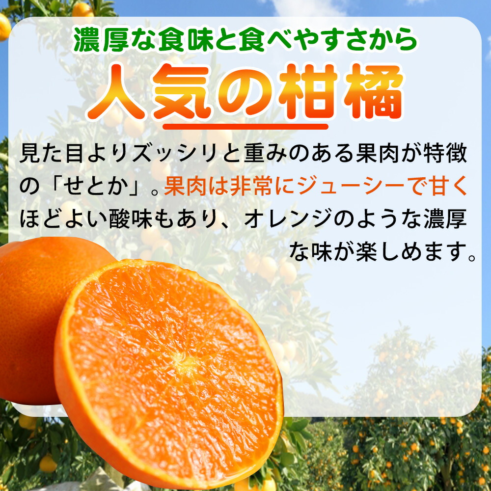 BL6161n_Y_【直営限定】（産地直送）和歌山県産 せとか 2.5kg(M