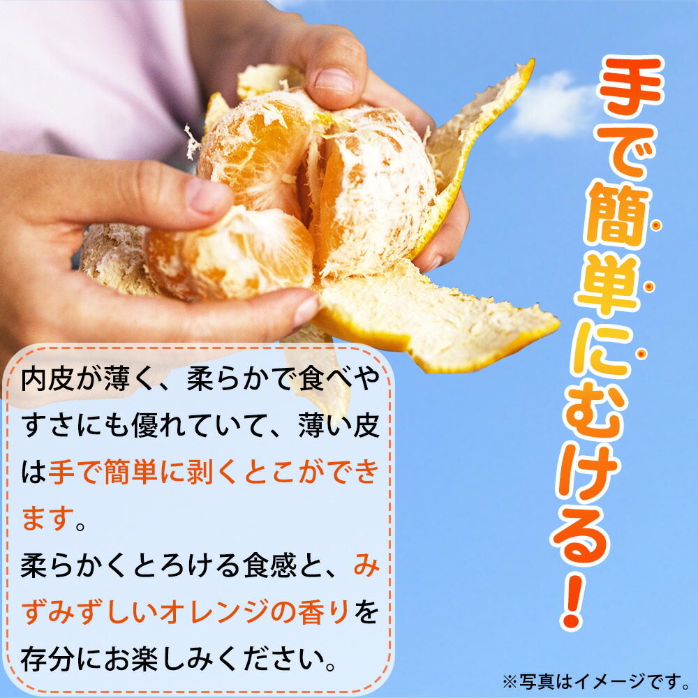 BL6161n_Y_【直営限定】（産地直送）和歌山県産 せとか 2.5kg(M