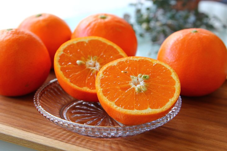 専用❤みかん♥もちぷに♥規格外…大きなブランケット☆Ｗボアケット⭐ ジャケットタックミニワンピ – BUNNY APARTMENT