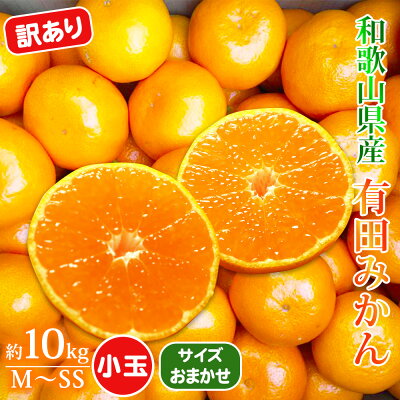 ナッツ様　在日大使館買上作家◆有田徳一◆旧二科会◆油彩Ｆ３◆評価 ３号：４８万円 ▽☆農家直送☆ 和歌山 減農薬 有田みかん 3kg 0301 - メルカリ