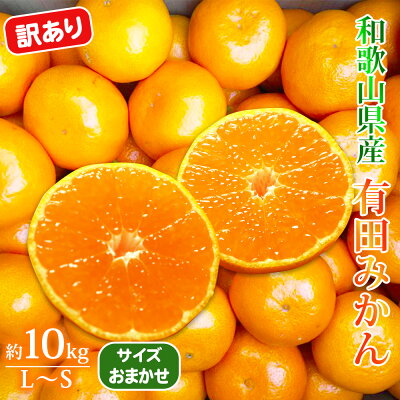 DA6107n_Y_【直営限定】北真農園 有田みかん ゆら早生 濃厚完熟 5kg お