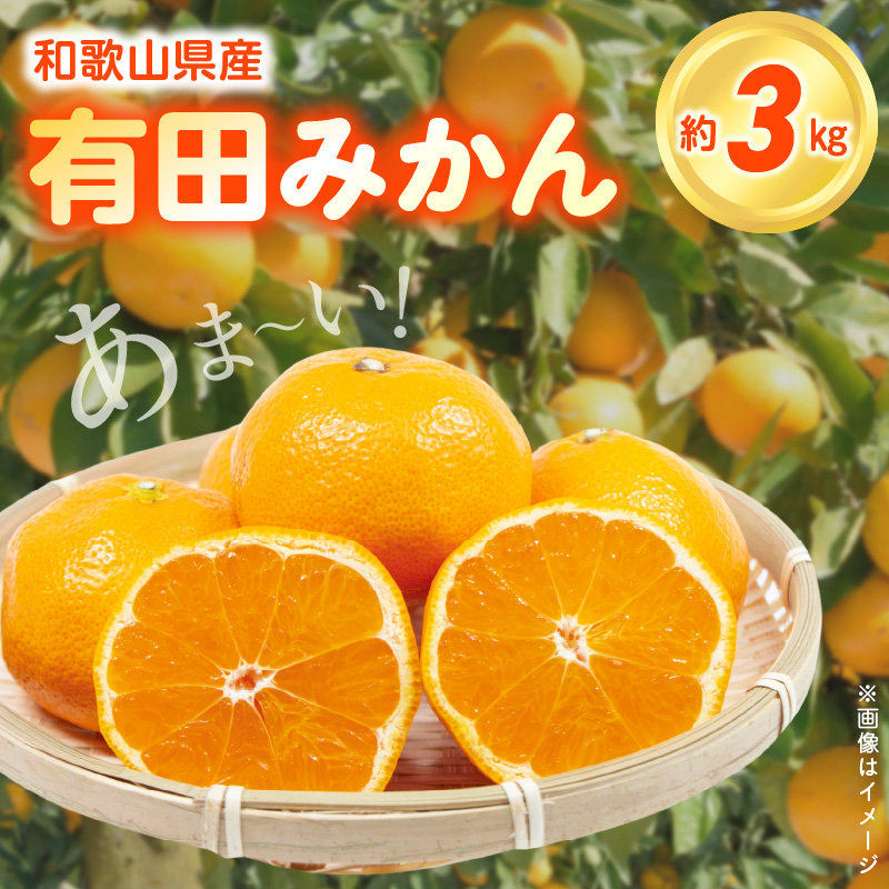 みかん＾＾ 楽天市場】三洋通商 三洋通商 みかん 5号缶 | 価格比較 - 商品