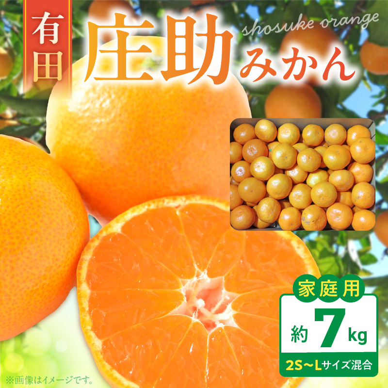 ◆ みかん AB7347_Y_01_【直営限定】【2026年先行予約】1月発送 農園直送!完熟