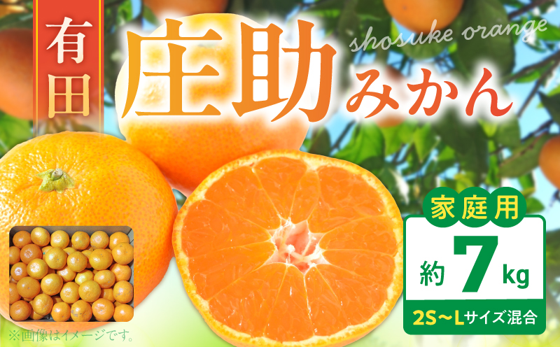 BK6014_Y_【直営限定】【2026年先行予約】庄助みかん (家庭用・サイズ