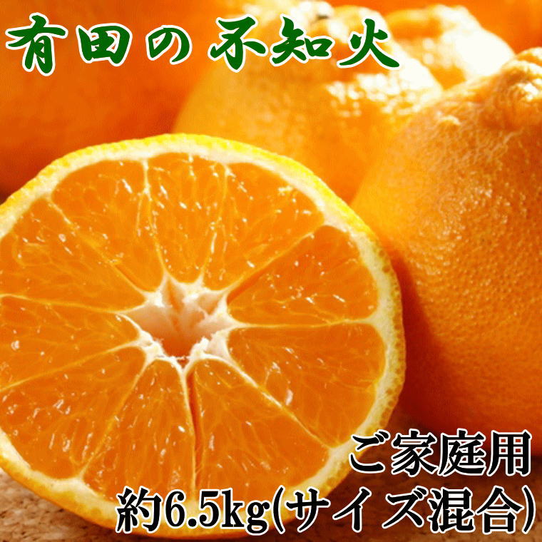 よっちゃん　南柑20号サイズ混合4.5kg×２箱ぐるりん ぽんかん Lサイズ 2．5K | 春 Spring fruits,ぽんかん