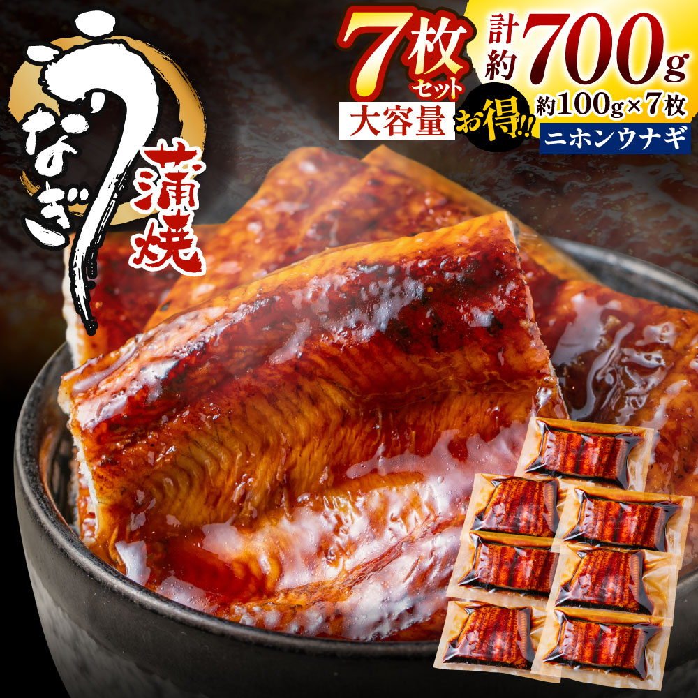 福岡県新宮町のふるさと納税 AB398.うなぎ蒲焼き（約100g×7Pセット）