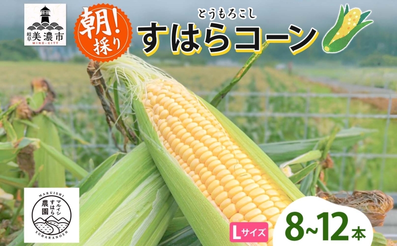 朝採り とうもろこし すはらコーン 8～12本 トウモロコシ