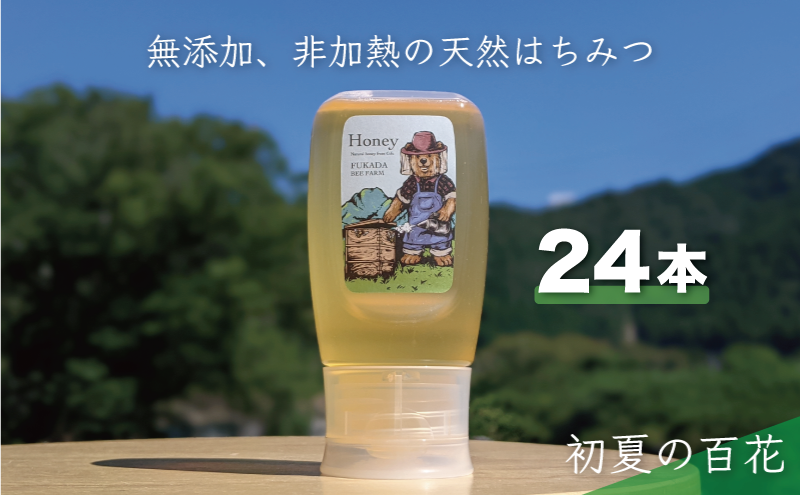 合計7200g 天然蜂蜜 国産蜂蜜 非加熱 生はちみつ 岐阜県 美濃市産 初夏 (蜂蜜300g入りピタッとボトル24本セット) B19 深田養蜂のハチミツ