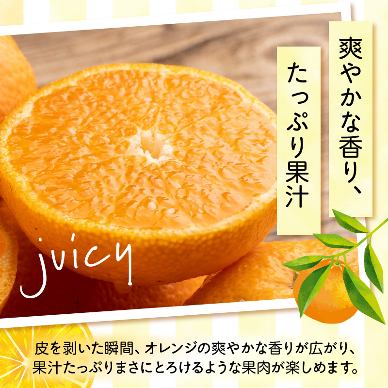 ZN6001n_【2026年先行予約】和歌山県有田産 完熟 清見オレンジ 5kg ひとつひとつ丁寧に厳選！生産者から直送【清見 みかん オレンジ タンゴール きよみ 柑橘 和歌山 有田】