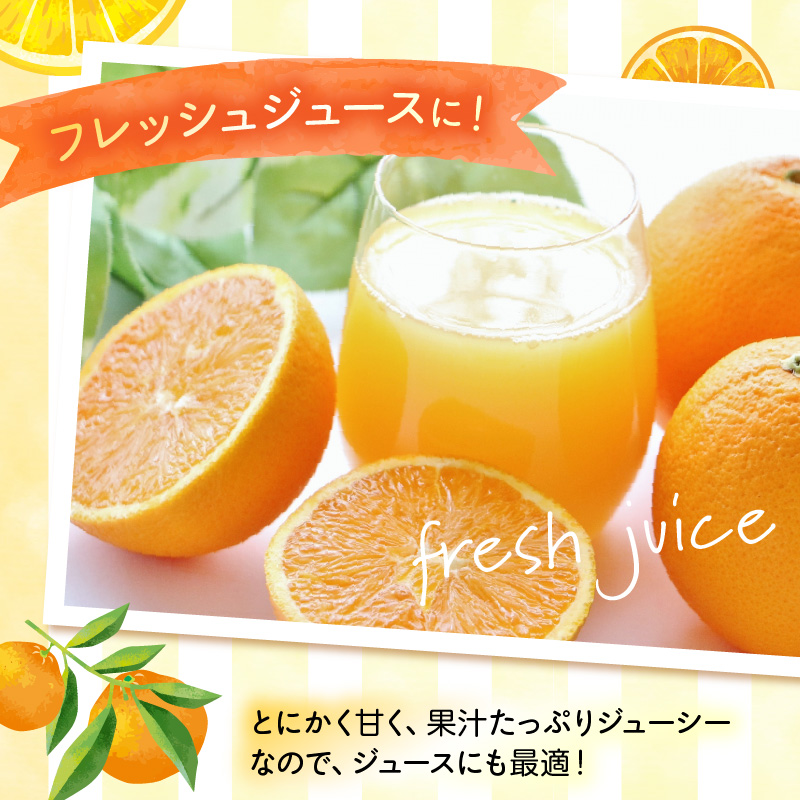 ZN6001n_【2026年先行予約】和歌山県有田産 完熟 清見オレンジ 5kg ひとつひとつ丁寧に厳選！生産者から直送【清見 みかん オレンジ タンゴール きよみ 柑橘 和歌山 有田】