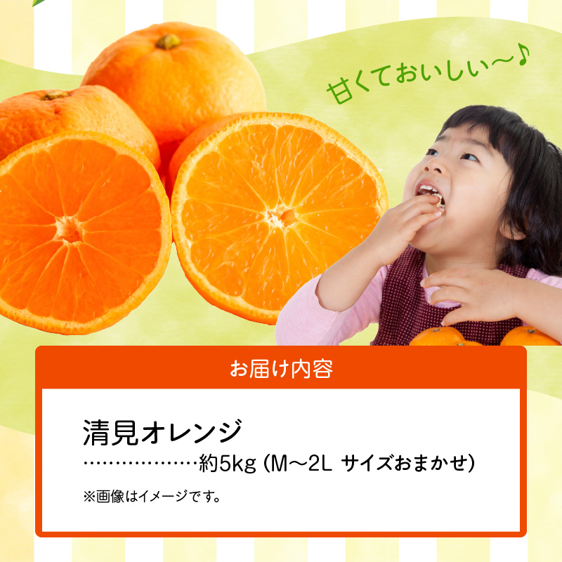 ZN6001n_【2026年先行予約】和歌山県有田産 完熟 清見オレンジ 5kg ひとつひとつ丁寧に厳選！生産者から直送【清見 みかん オレンジ タンゴール きよみ 柑橘 和歌山 有田】