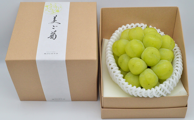 ぶどう 2026年 先行予約 雄宝 1房 約1.0kg  数量限定 ブドウ 葡萄 岡山 国産 フルーツ 果物 