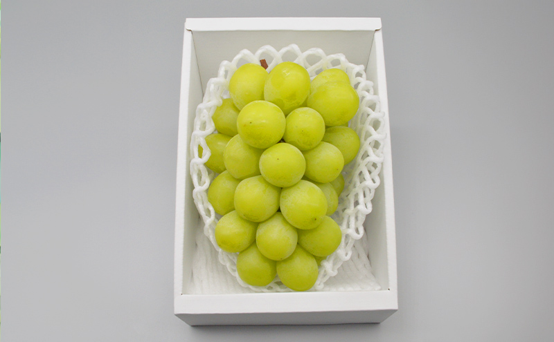 ぶどう 2026年 先行予約 シャインマスカット 1房 約600g ブドウ シャイン マスカット 葡萄 岡山 国産 フルーツ 果物