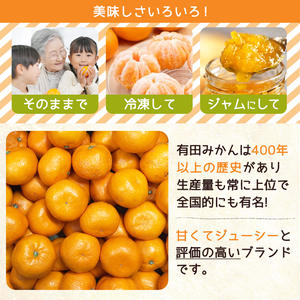 ZJ6098_Y_【直営限定】ご家庭用 和歌山有田みかん約10kg(SS、Sサイズ