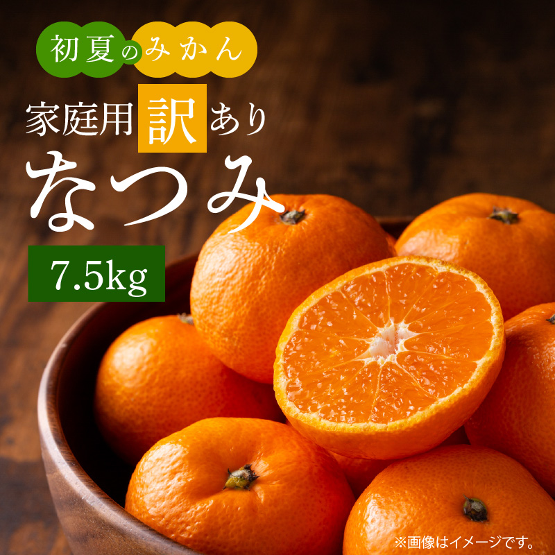 G7073_Y_【直営限定】【2027年先行予約】初夏のみかん なつみ 7.5kg