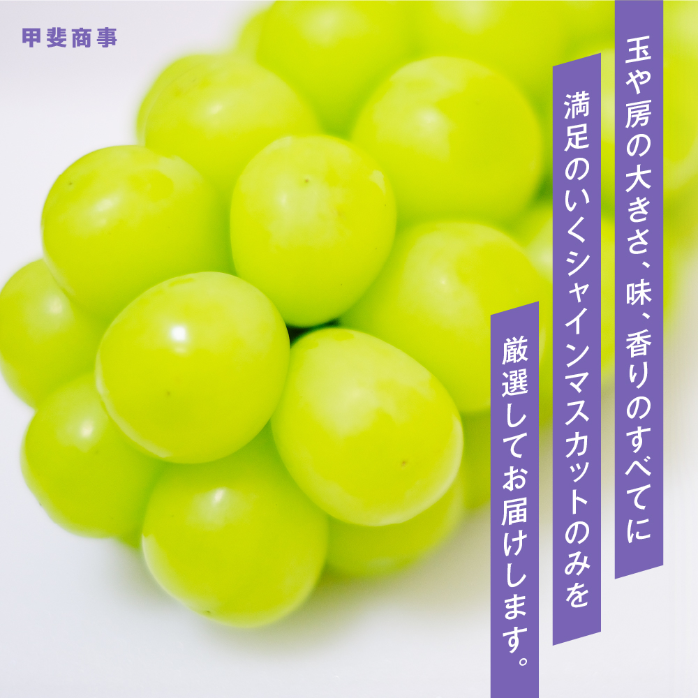 山梨県甲斐市のふるさと納税 【2026年分発送】 最高級 シャインマスカット 2～3房 約1.5kg 先行予約 山梨県産 産地直送 フルーツ 果物 くだもの ぶどう ブドウ 葡萄 シャイン シャインマスカット 新鮮 人気 おすすめ 国産 贈答 ギフト お取り寄せ 山梨 甲斐市 AN-11