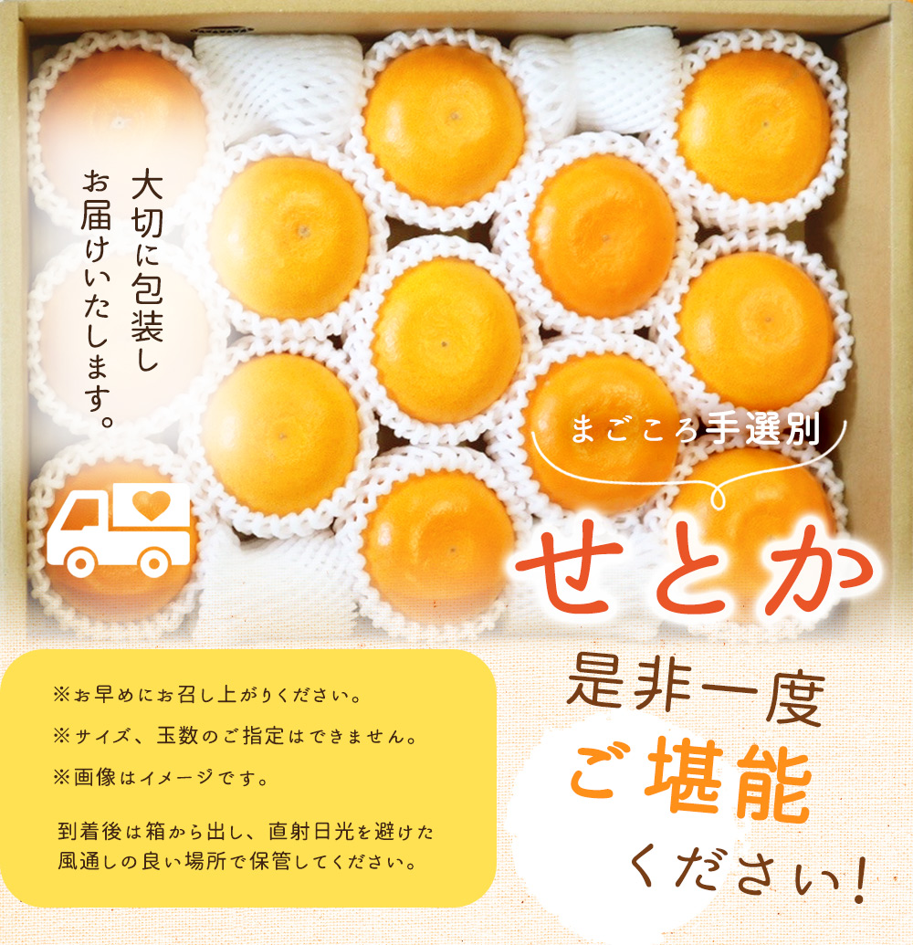 ZE6401n_【2026年先行予約】湯浅町産せとか11～15玉（M～2Lサイズ混合）化粧箱入り秀品【まごころ手選別】