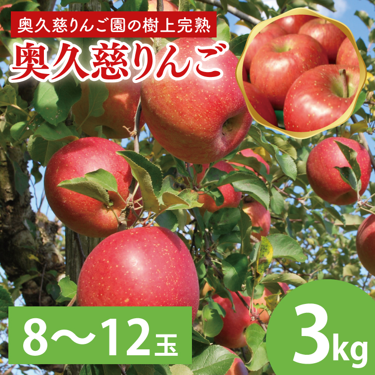 【茨城県大子町】【数量限定・先行予約】【2025年9月中旬頃発送開始予定】奥久慈りんご園の樹上完熟 奥久慈りんご 3kg(8〜12玉)(AI003-1)