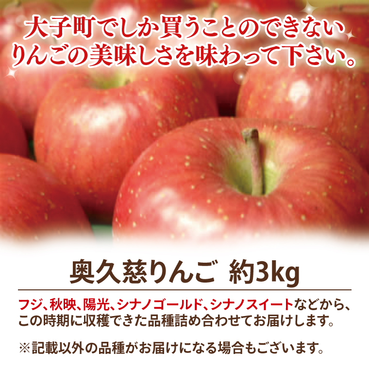 【数量限定・先行予約】【2025年9月中旬頃発送開始予定】奥久慈りんご園の樹上完熟 奥久慈りんご 3kg（8～12玉）(AI003-1)