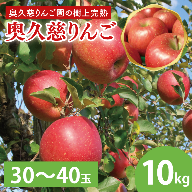 【茨城県大子町】【数量限定・先行予約】【2025年9月中旬頃発送開始予定】奥久慈りんご園の樹上完熟 奥久慈りんご 10kg(30〜40玉)(AI004-1)