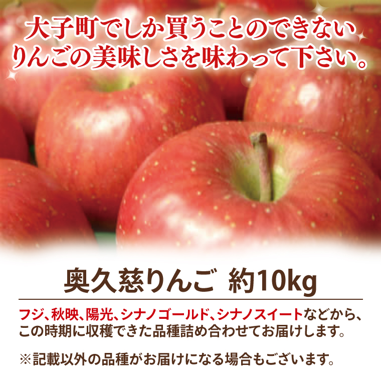 【数量限定・先行予約】【2025年9月中旬頃発送開始予定】奥久慈りんご園の樹上完熟 奥久慈りんご 10kg（30～40玉）(AI004-1)
