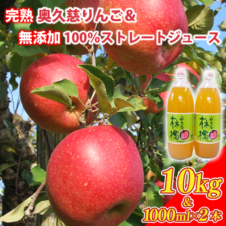 【数量限定・先行予約】【2025年11月上旬頃発送予定】奥久慈りんご園の樹上完熟 奥久慈りんご 10kg（30～40玉）＆りんご無添加100％ストレートジュース 1000ml×2本(AI005-1)