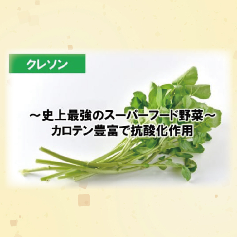 天然奥久慈 「クレソン粉末ドレッシング」 &  「紅菊芋&くるみ入り粉末ドレッシング」 3本 セット(BU001)
