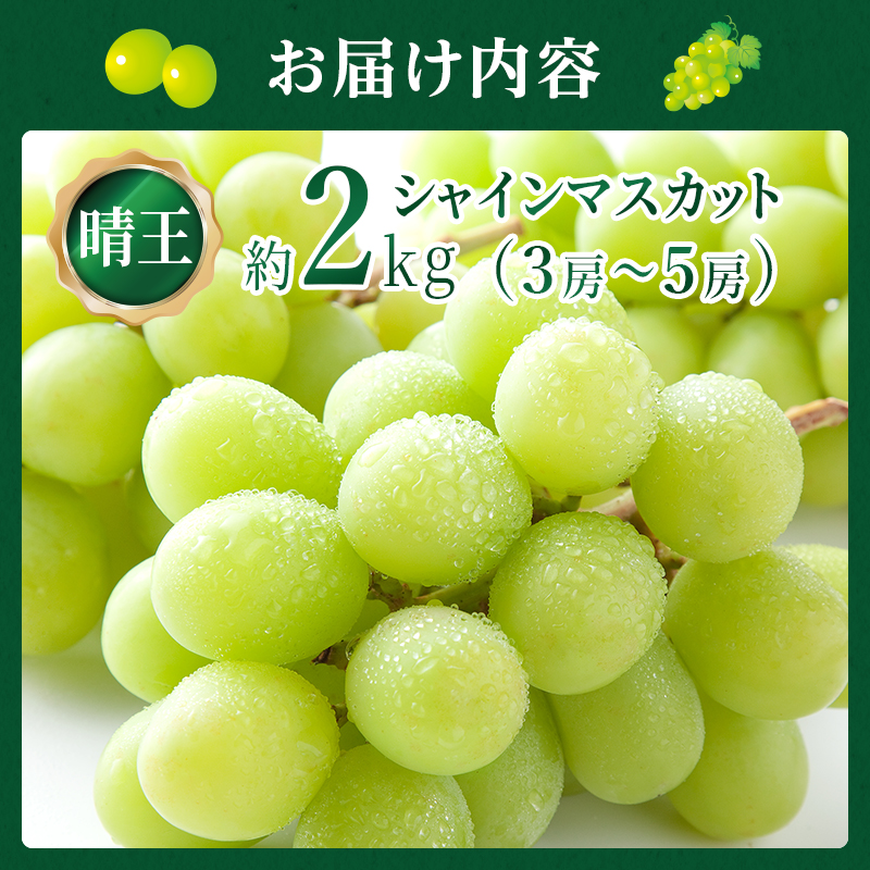 ぶどう 2026年 先行予約 岡山 名産  晴王 シャイン マスカット たっぷり2kg！9月上旬以降順次発送 ギフトにも ブドウ 葡萄  岡山県産 国産 フルーツ 果物 種なし 皮ごと 濃厚な甘み 上品な香り 