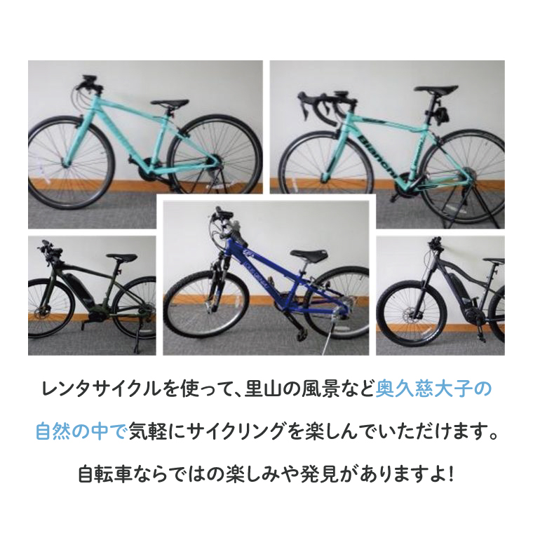 道の駅 奥久慈だいご 温泉 ペア利用券 + サイクルステーション Eバイク 1日 ペア利用券 セット(BS003)