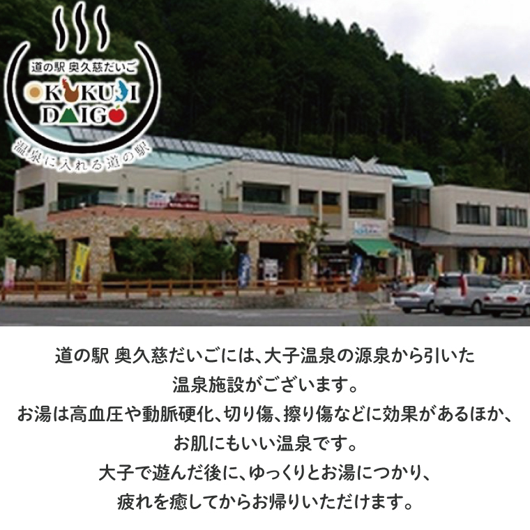 道の駅 奥久慈だいご 温泉 ペア利用券 + サイクルステーション クロスバイク 1日 ペア利用券 セット(BS004)