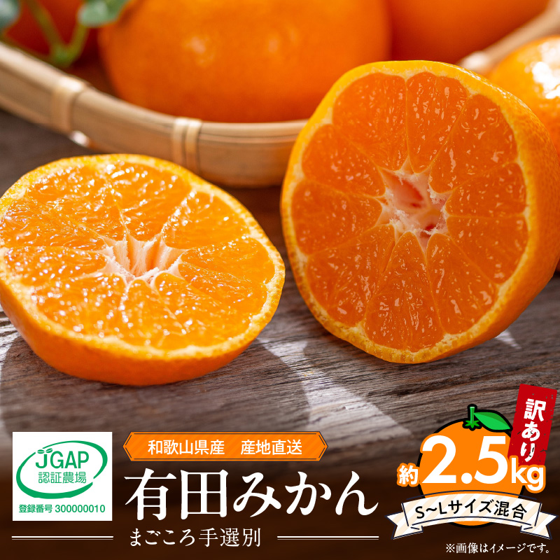 ZE6415_Y_【直営限定】【秀品】有田みかん 和歌山県有田産 2kg