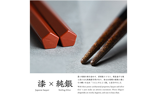 華正工房 うるしけんこう箸 食洗機対応 ペア (夫婦箸) 化粧箱入り F6P-2841