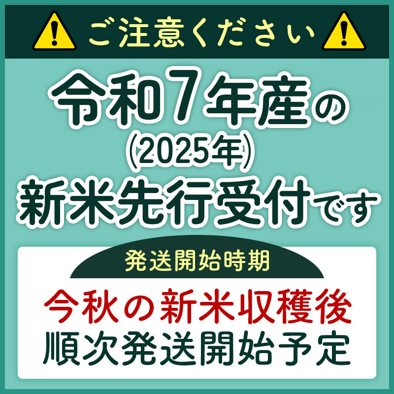 秋田県三種町のふるさと納税 《新米先行受付》《定期便6ヶ月》【無洗米】あきたこまち 5kg 秋田県産 令和7年産  こまちライン