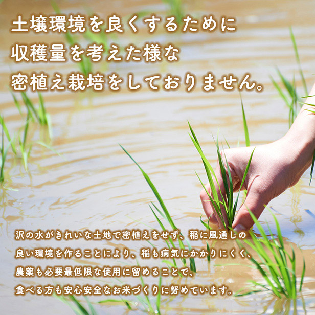 秋田県三種町のふるさと納税 《新米先行受付》《定期便6ヶ月》【無洗米】あきたこまち 5kg 秋田県産 令和7年産  こまちライン