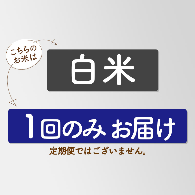 秋田県三種町のふるさと納税 《新米先行受付》【白米】家計お助け米 あきたこまち 5kg 秋田県産 令和7年産  こまちライン
