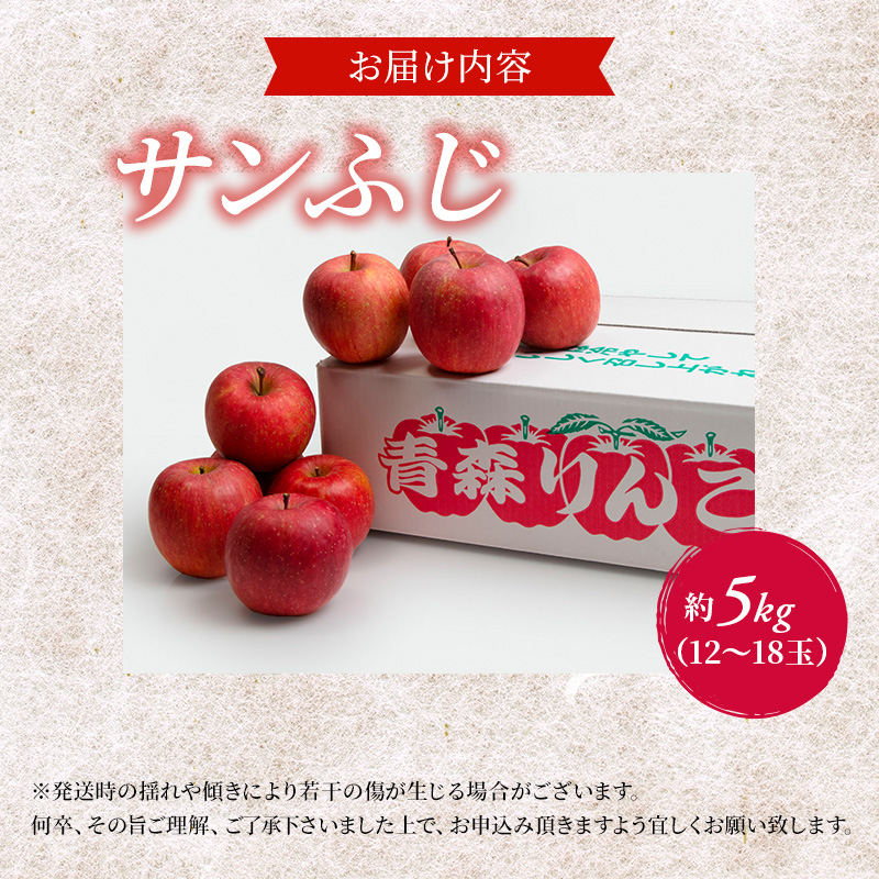 りんご 訳あり 青森 サンふじ 約 5kg （12～18玉) リンゴ