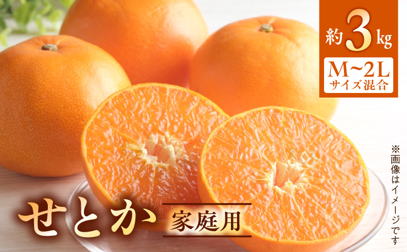 BF6047n_（2026年先行受付）せとか 家庭用 3kg М～2Lサイズ 混合