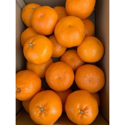 BF6047n_（2026年先行受付）せとか 家庭用 3kg М～2Lサイズ 混合