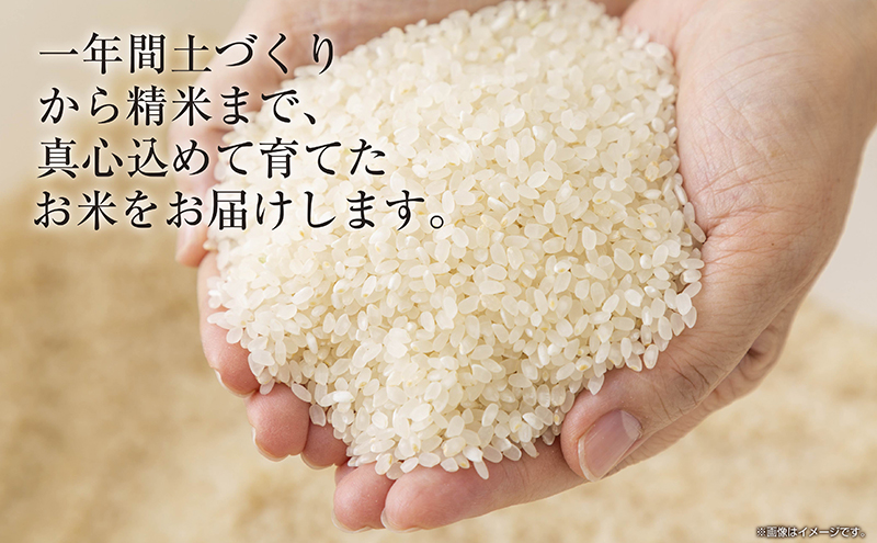 令和7年産 新潟県 魚沼産 コシヒカリ お米 8kg  (2kg×4袋) 精米済み お米 こめ 白米 新米 こしひかり 送料無料 魚沼 十日町
