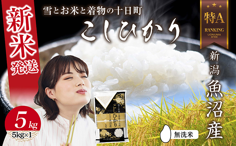 yV\szyVĔz  ߘa7NY V Y RVqJ  5kg čς݁iĂ̔KChtj   V Ђ Hi lC    \ \s Y