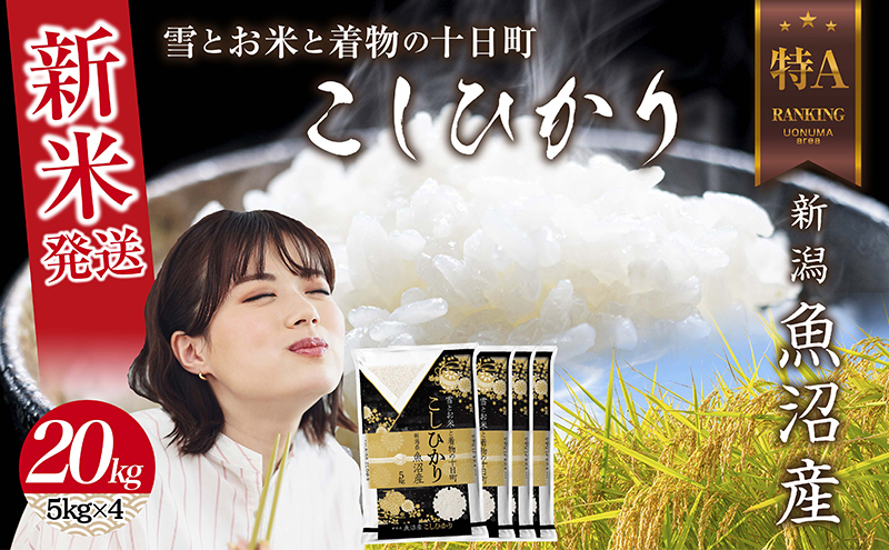 【令和7年産】 令和7年産 新潟県 魚沼産 コシヒカリ お米 20kg （5kg×4袋） 精米済み（お米の美味しい炊き方ガイド付き） 